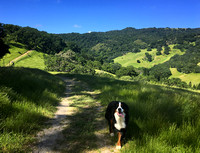 Finishing her Hike at Briones
