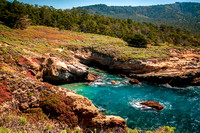 Headland Cove, Point Lobos