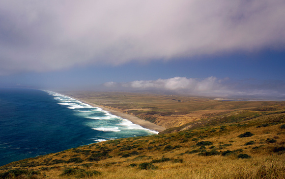 Mists of Point Reyes