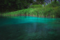 One of Plitvice's beautiful lagoons