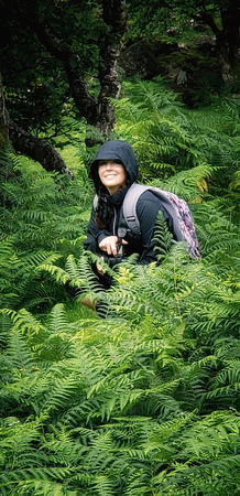 Photographer among the ferns, Fairy Glen
