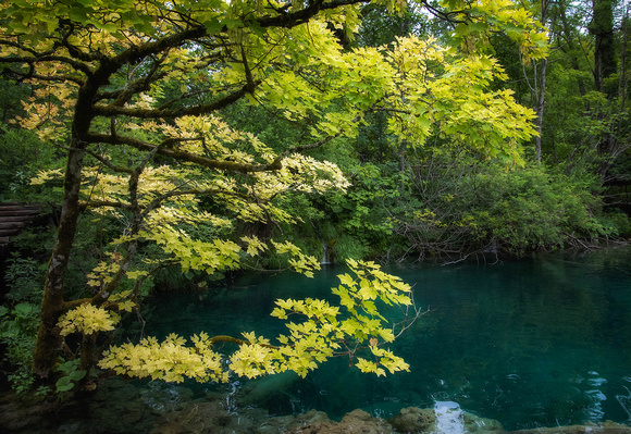 Summer in Plitvice Lakes National Parks