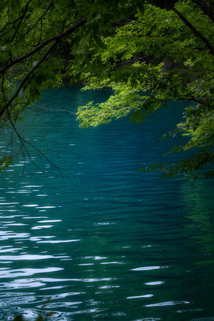 Dazzling greens and blues of Plitvice Lakes