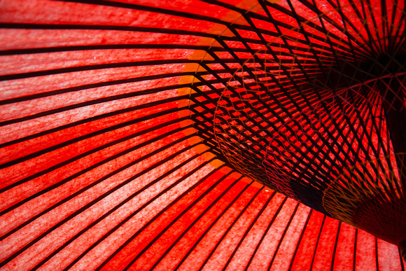 Red Japanese Parasol