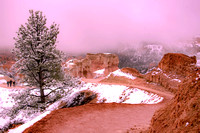 The trail at Sunset Point, Bryce Canyon