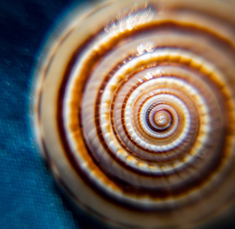 Fibonacci Spiral macro