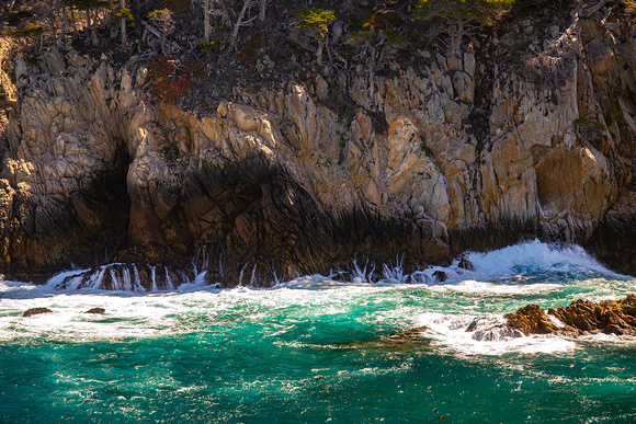 Textures of Cypress Cove, Point Lobos